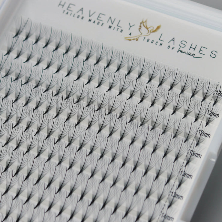 Wispy Promade lashes Heavenly lashes